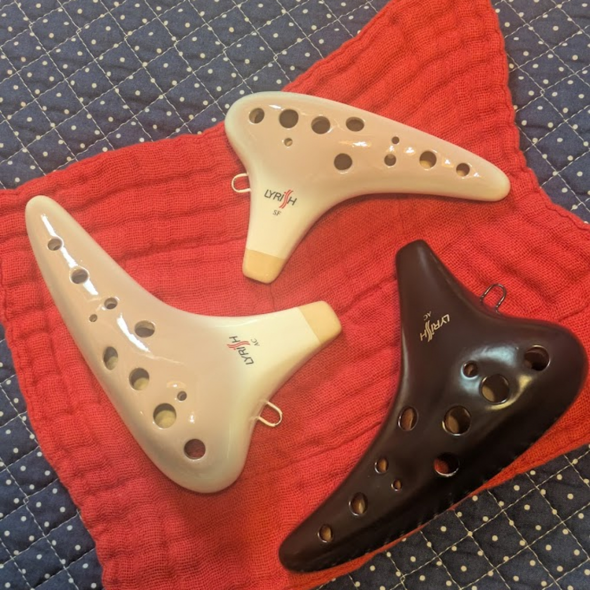 ライリッシュオカリナ連盟所沢会 野塩教室