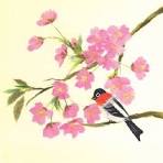 花みずきの会（R7年4月分）