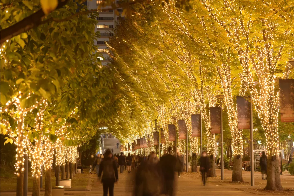 2025 たちかわイルミネーション