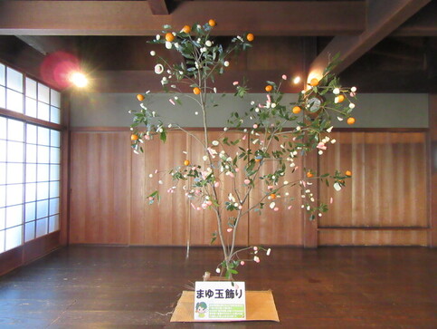 年中行事 「小正月のまゆ玉飾り」