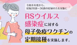 RSウイルス感染症ワクチンについて