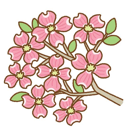 花みずきの会（令和8年7月分）