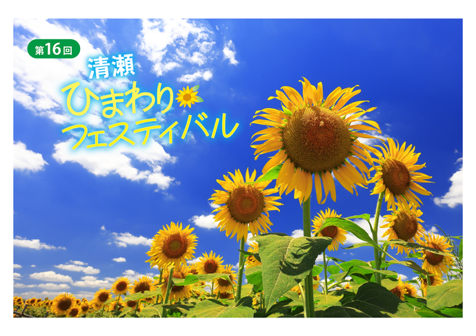 清瀬ひまわりフェスティバル