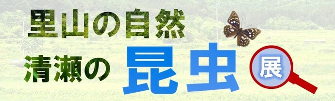 清瀬市郷土博物館特別展「里山の自然『清瀬の昆虫』展」