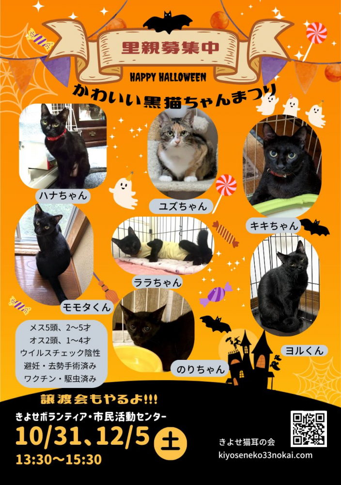 黒猫譲渡会